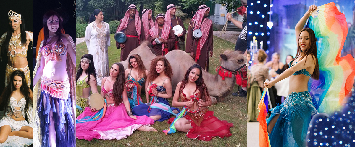 Buikdanseres boeken en tamme kamelen