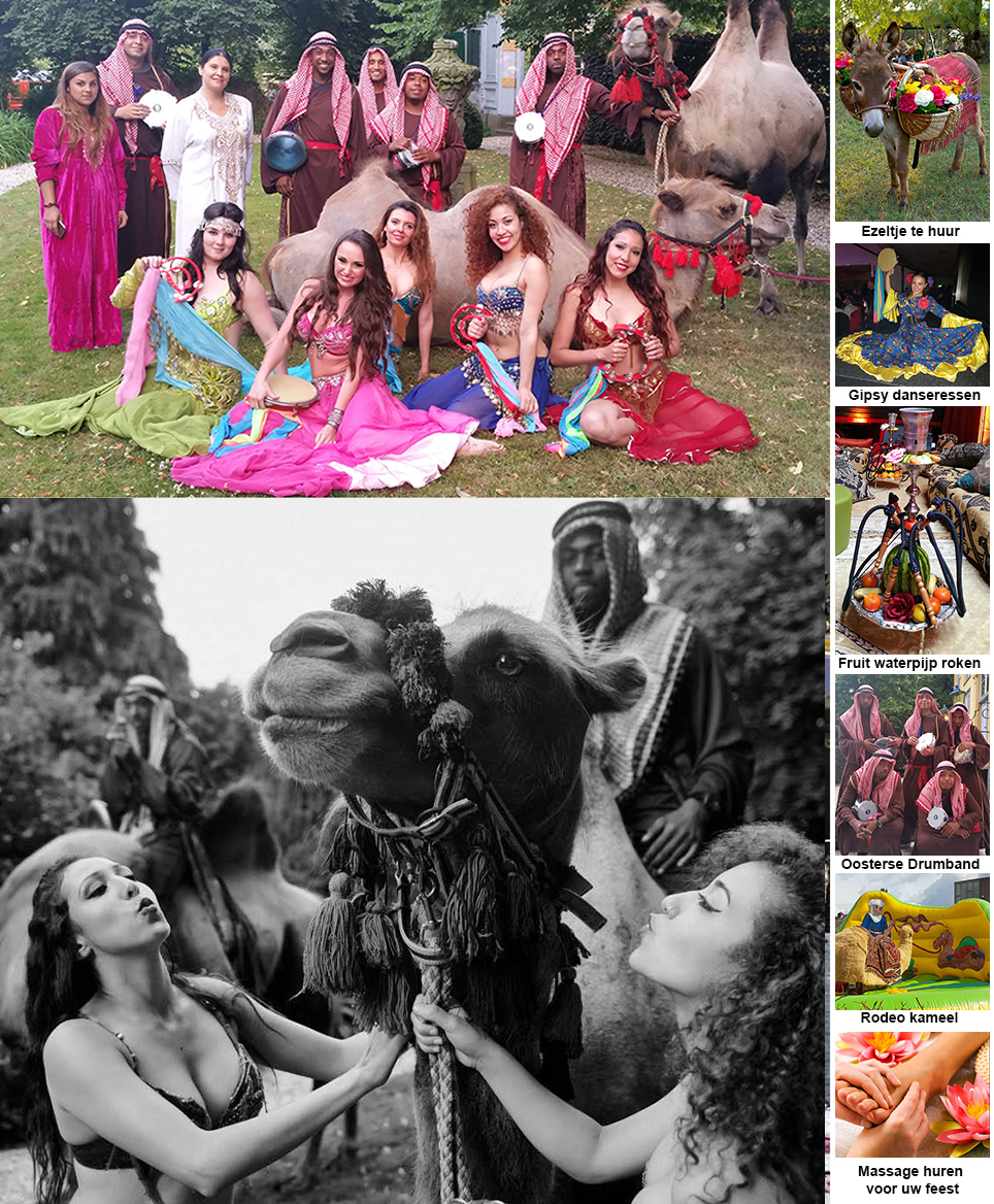 Buikdanseres boeken Indiaas Feest